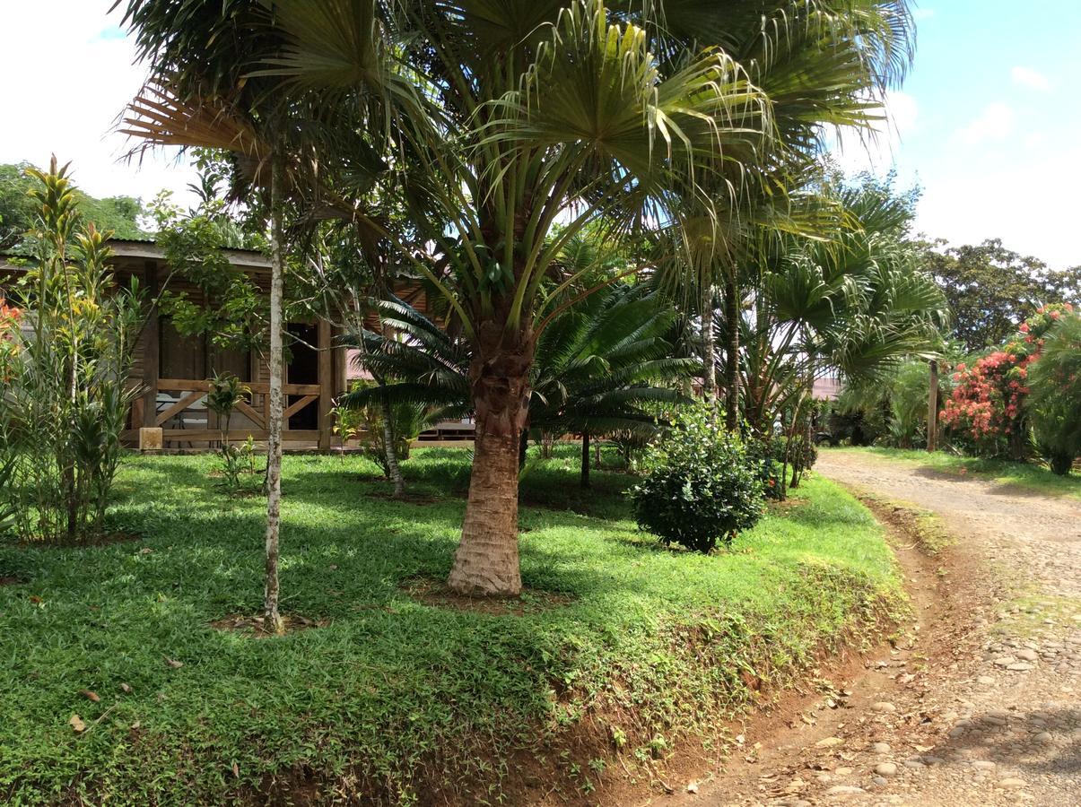 Hotel Pedacito De Cielo Boca Tapada 外观 照片