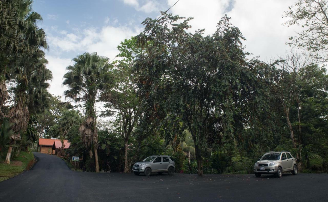 Hotel Pedacito De Cielo Boca Tapada 外观 照片